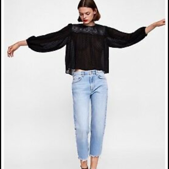 Zara Tops - Zara Swiss Dot Sheer Blouse